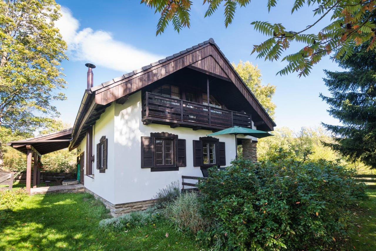 Vacation House Kurtovec Benesov nad Cernou Exteriér fotografie